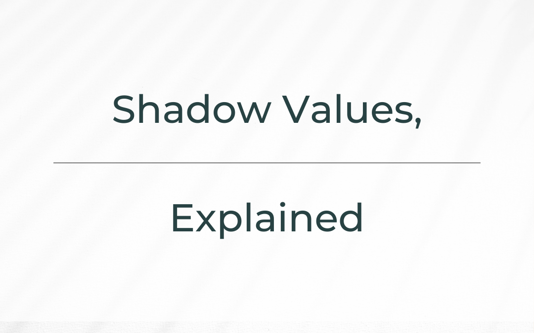 Shadow Values, Explained