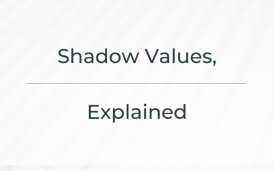 Shadow Values, Explained