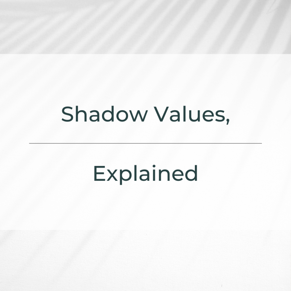 shadow-values-explained-values-based-living